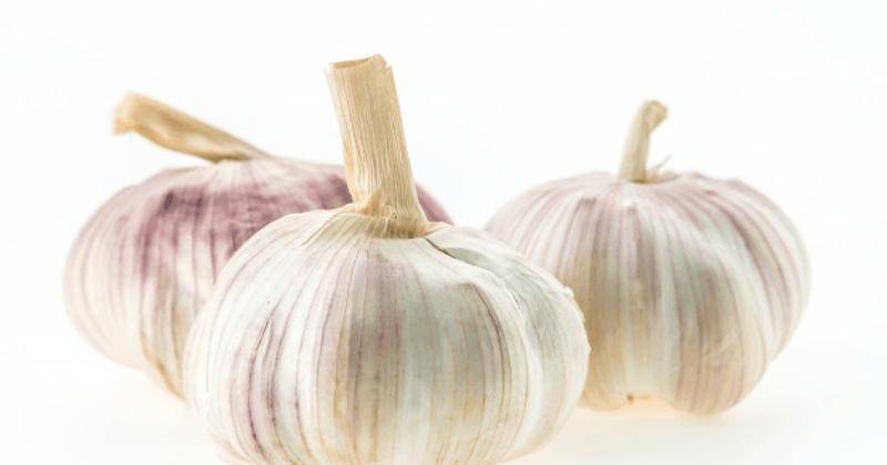 Freepik/Lifeforstock